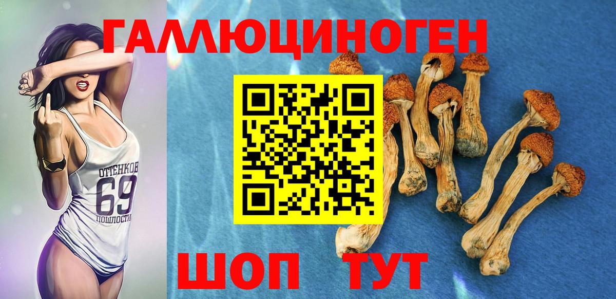 Псилоцибиновые грибы Magic Shrooms  Галлюциногенные грибы Psilocybe  Вход с VPN  Урюпинск 
