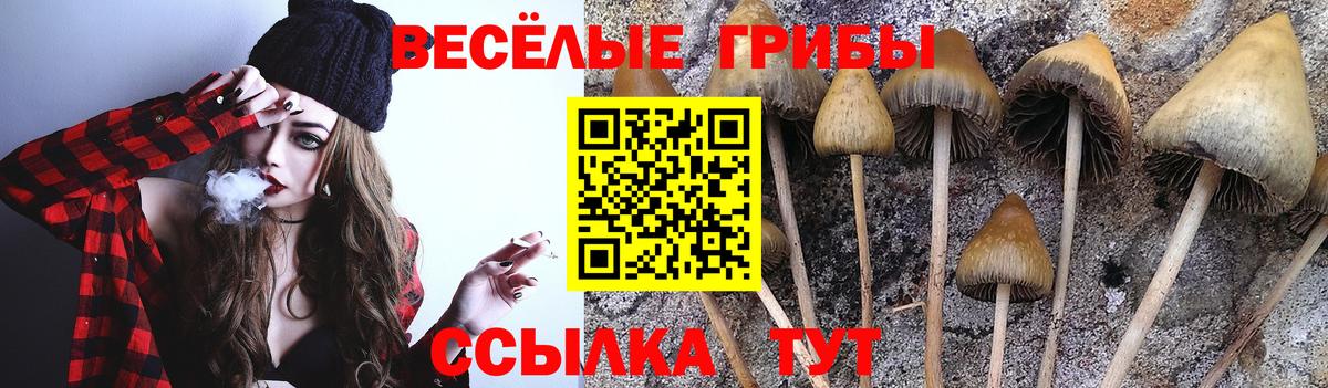 Галлюциногенные грибы Magic Shrooms Урюпинск