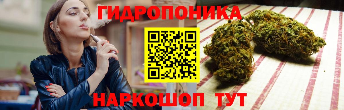 Бошки марихуана конопля  Канабис план  Урюпинск  Вход с VPN  Конопля AK-47 